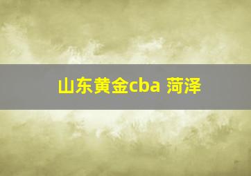 山东黄金cba 菏泽